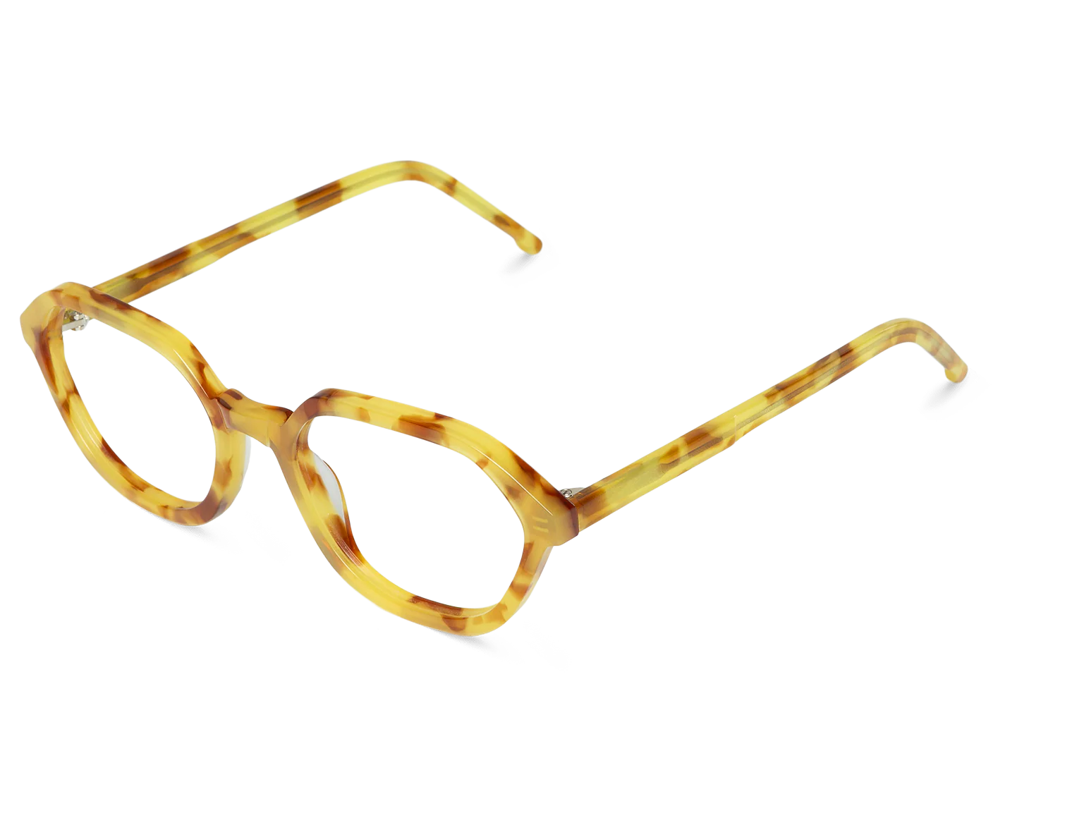 GINSENG - NOBI - Image 2