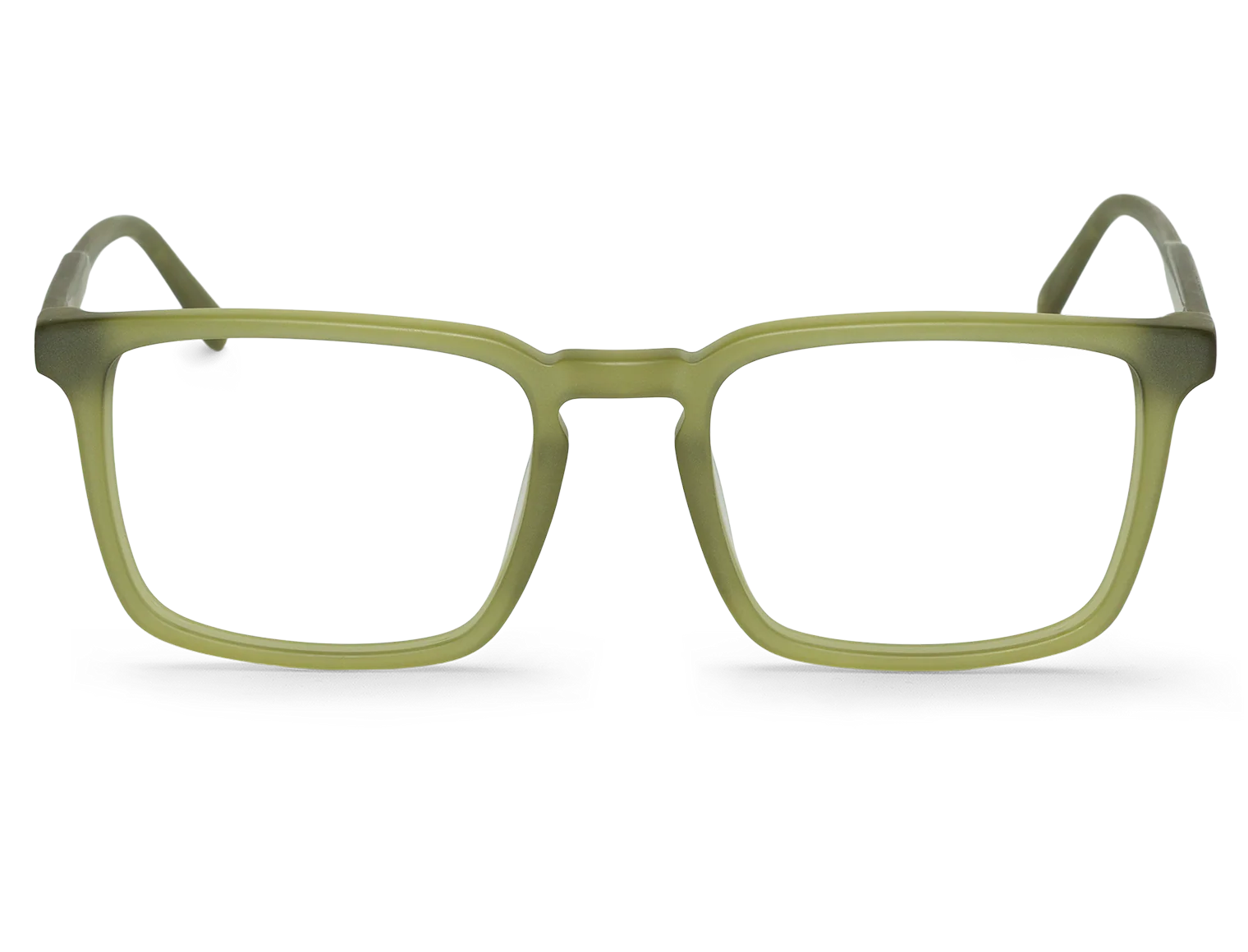 MATTE BASIL - BELCHER L